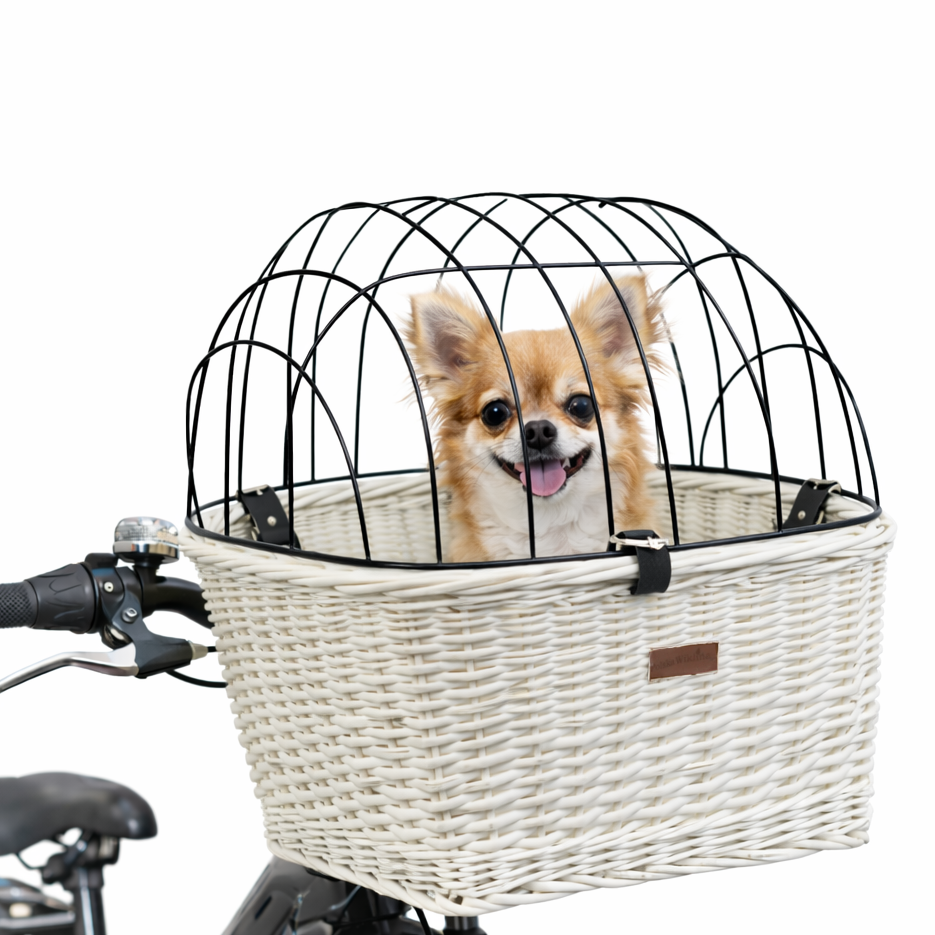 1a25a37c-6b1d-49bc-b488-05518e323c31