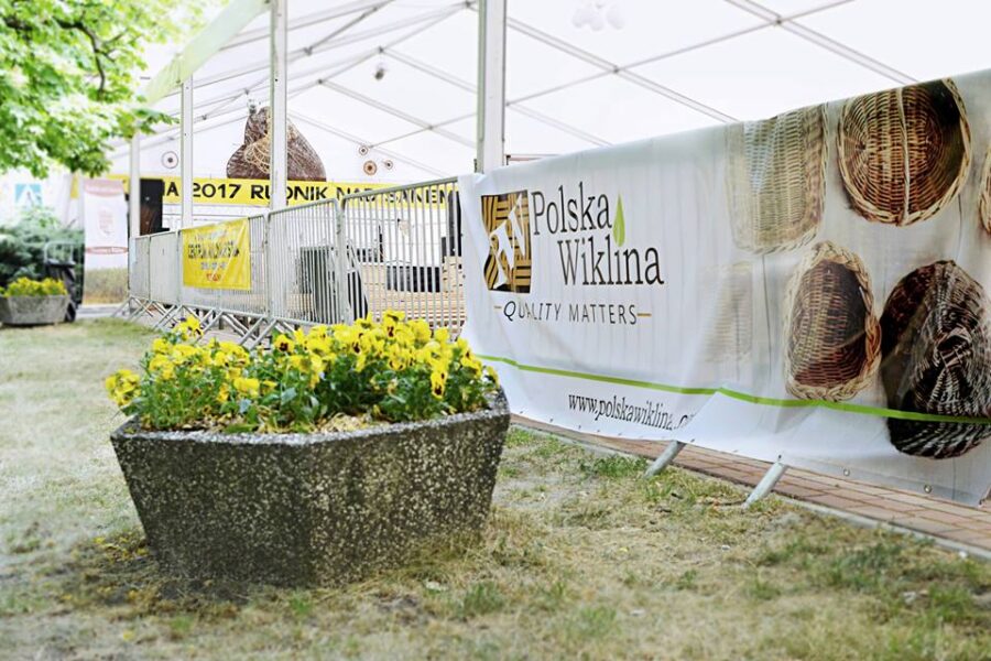 polska wiklina z rudnika nad sanem